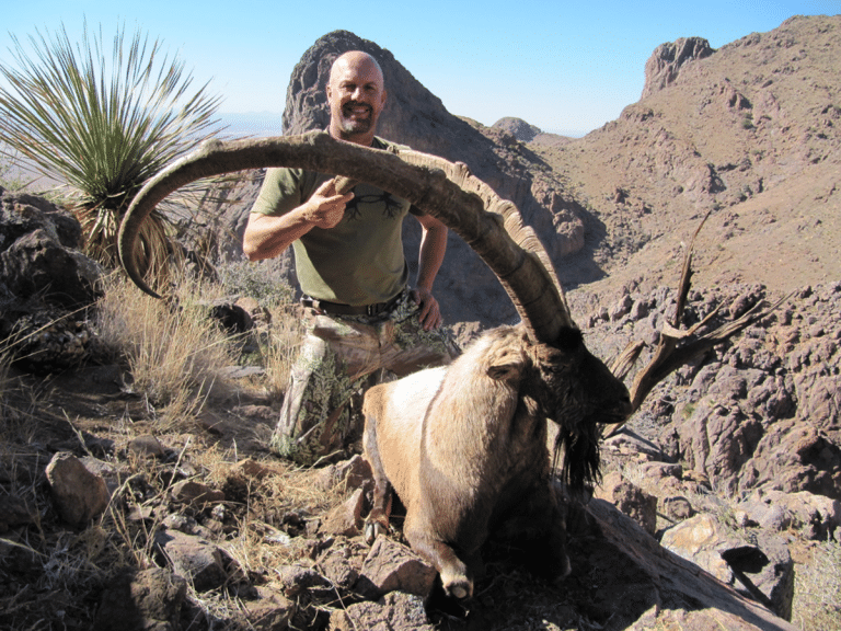 Guided New Mexico Ibex Hunts